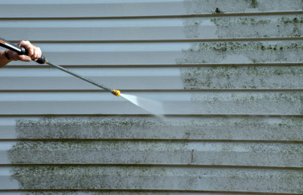 Best House Exterior Washing  in Ardia, CA