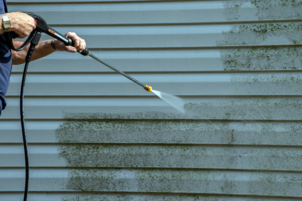 Best Sidewalk and Walkway Cleaning  in Ardia, CA