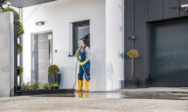 Best Fleet Vehicle Washing  in Ardia, CA